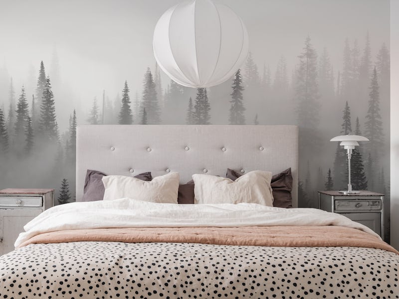 Misty forest black and white